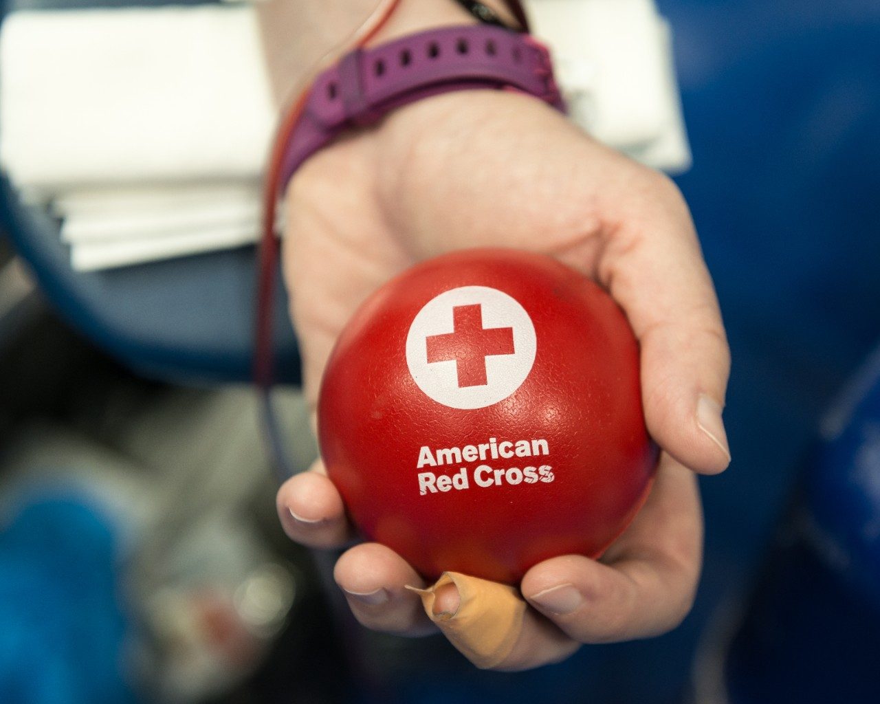 Hand holding American Red Cross stress ball.